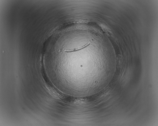 X0000070210550200606021258