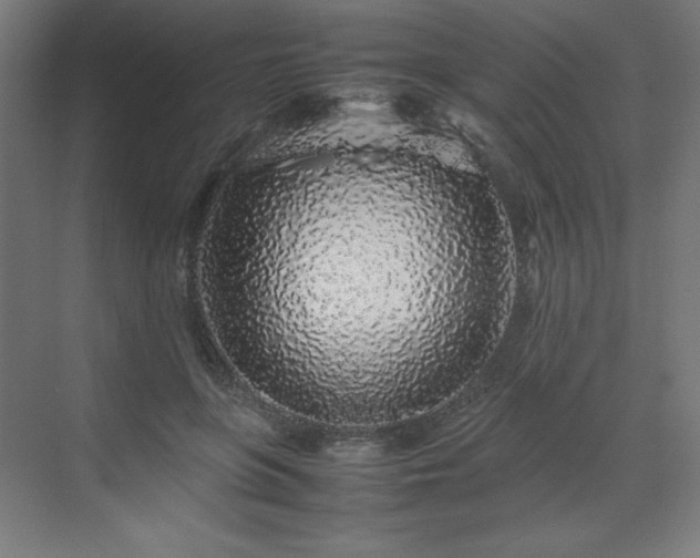 X0000070210551200606021258