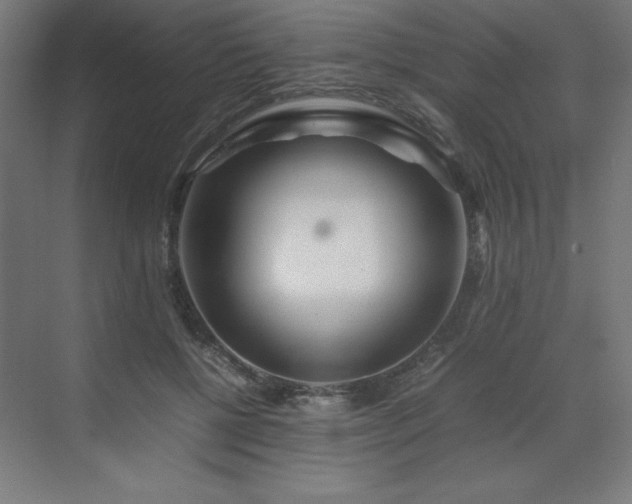 X0000070210552200606021258