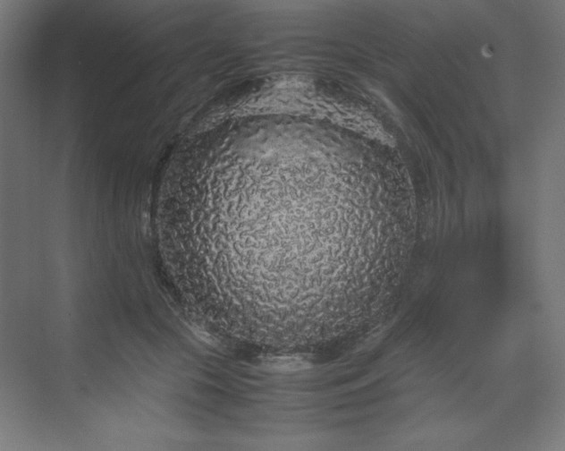 X0000070210553200606021258