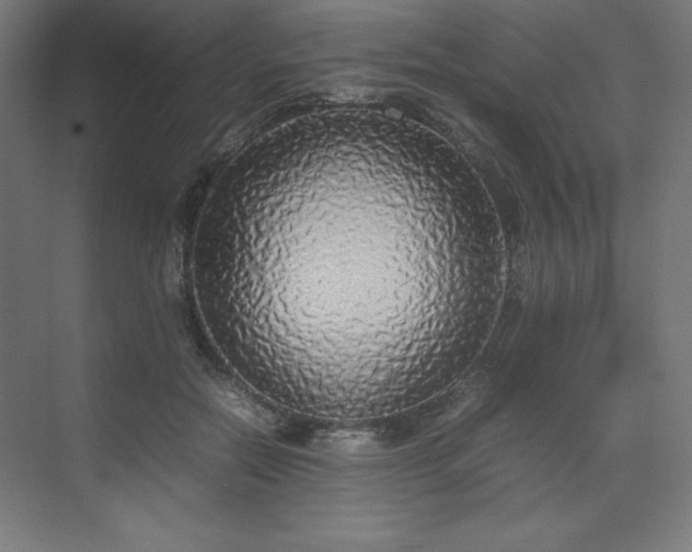 X0000070210554200606021258