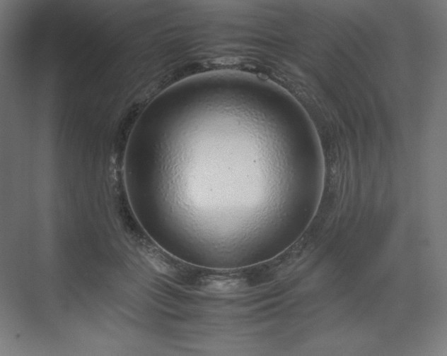 X0000070210555200606021258