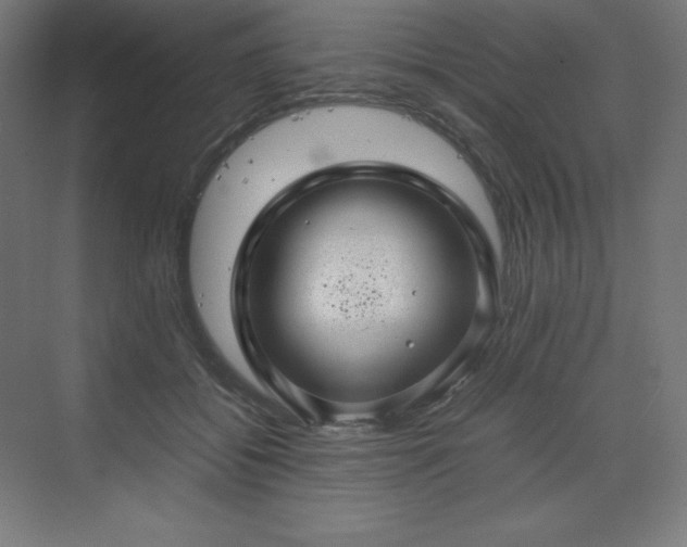 X0000070210556200606021258