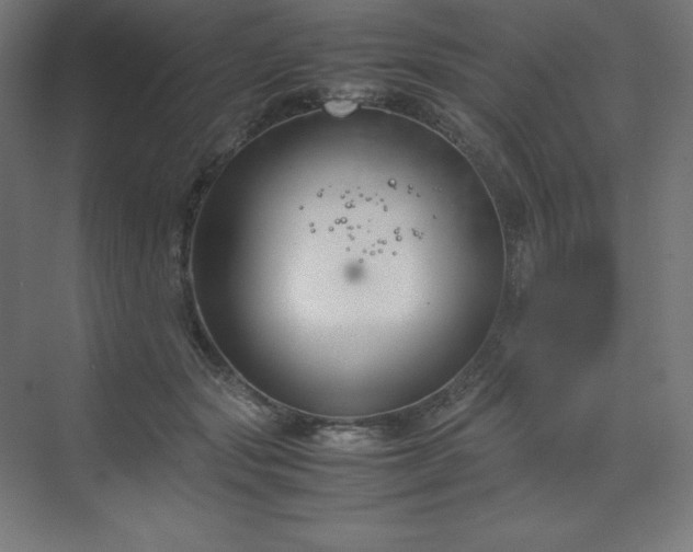 X0000070210557200606021258