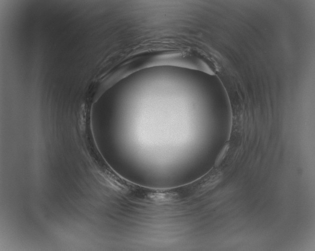 X0000070210558200606021258