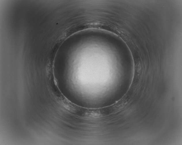 X0000070210559200606021258