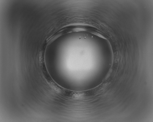 X0000070210560200606021258