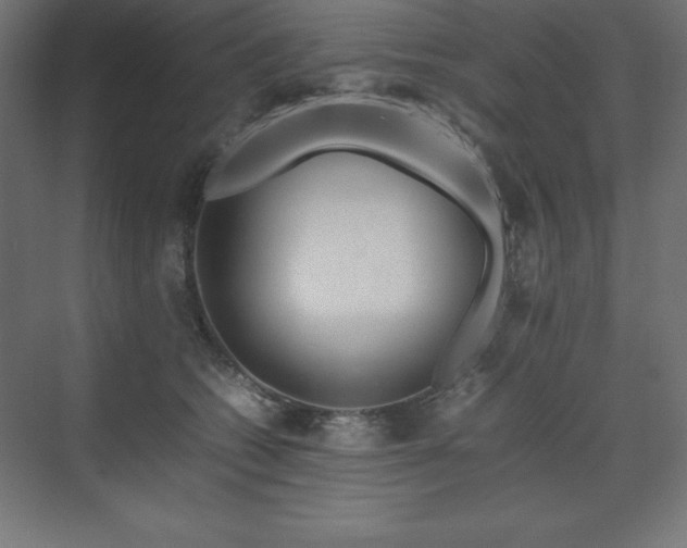 X0000070210562200606021258