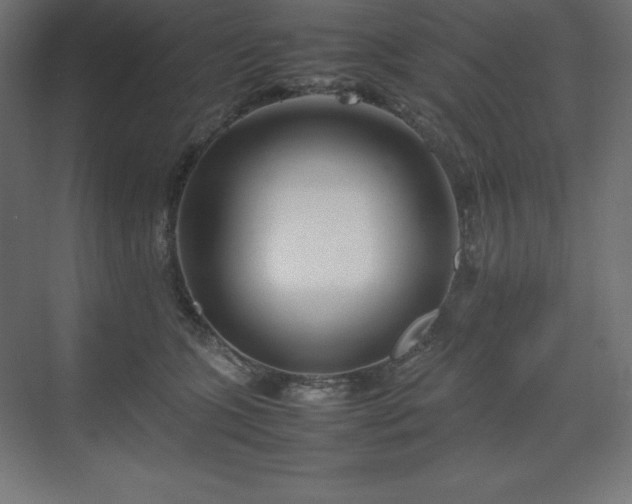 X0000070210563200606021258