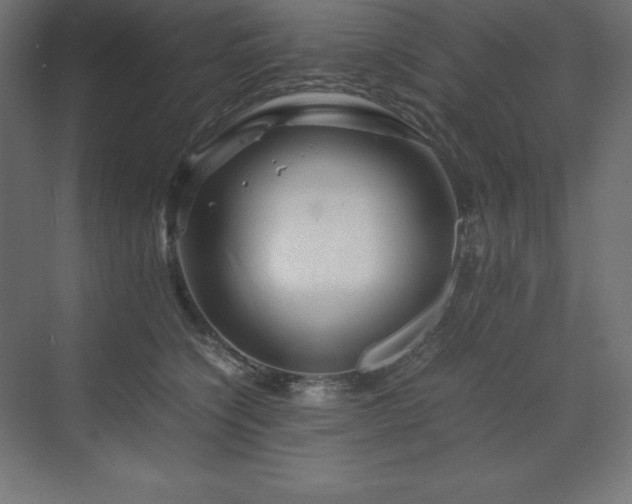 X0000070210564200606021258