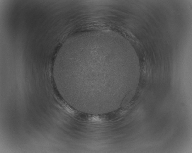 X0000070210565200606021258