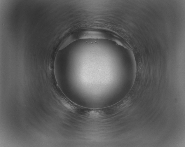 X0000070210566200606021258