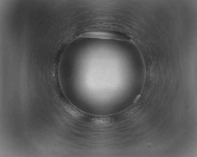 X0000070210567200606021258