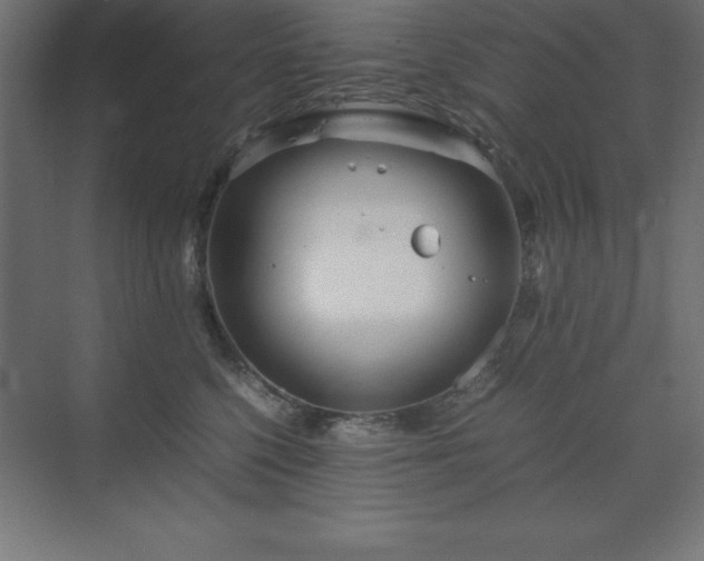 X0000070210568200606021258