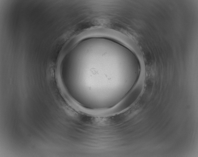 X0000070210570200606021258