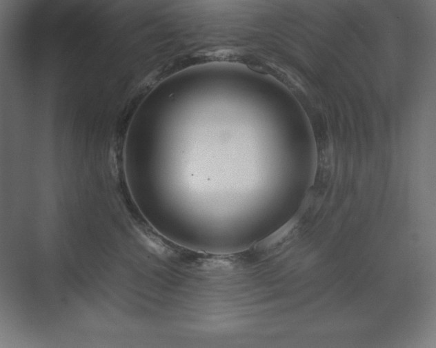 X0000070210572200606021258