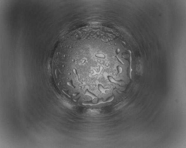 X0000070210573200606021258