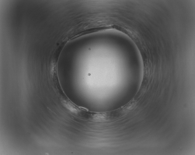 X0000070210574200606021258