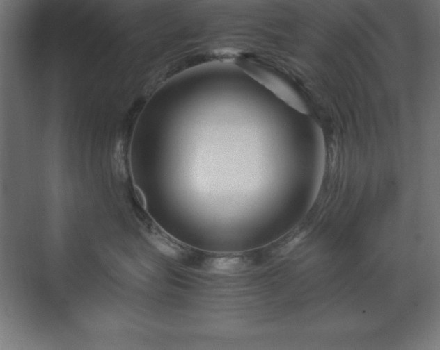 X0000070210575200606021258