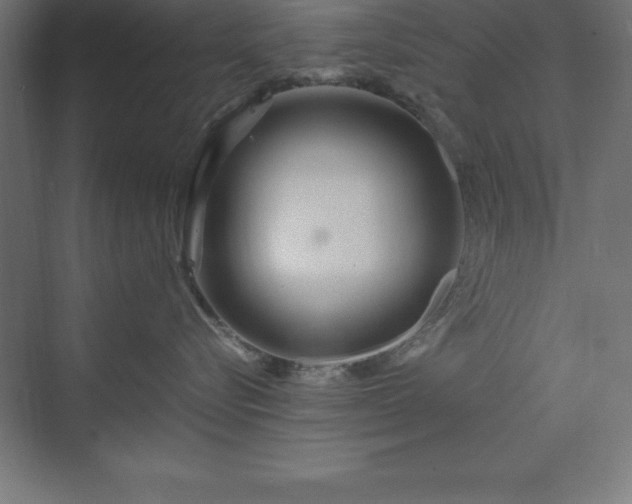 X0000070210576200606021258