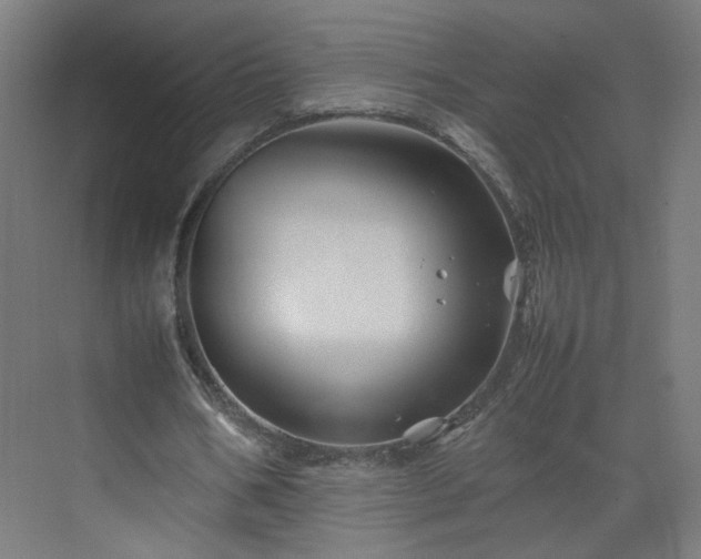 X0000070210578200606021257