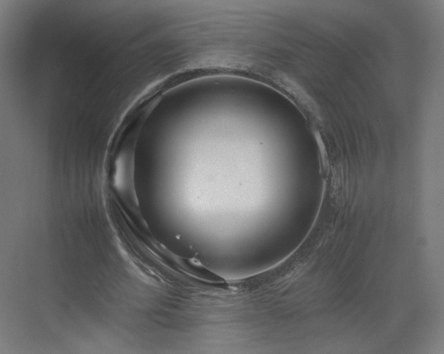 X0000070210580200606021257