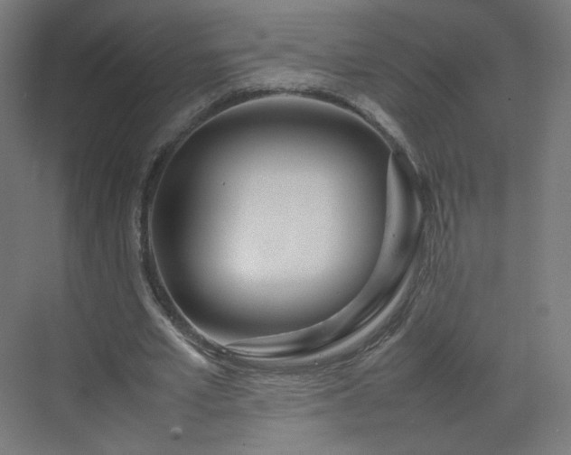 X0000070210581200606021257