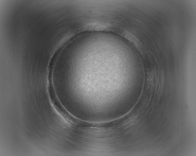 X0000070210582200606021257