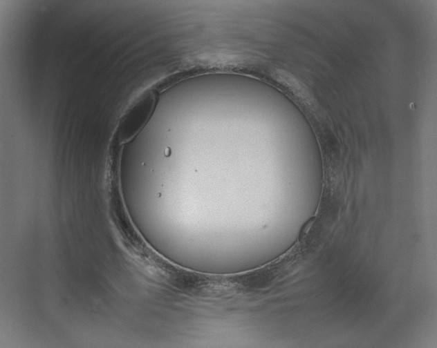 X0000070210583200606021257