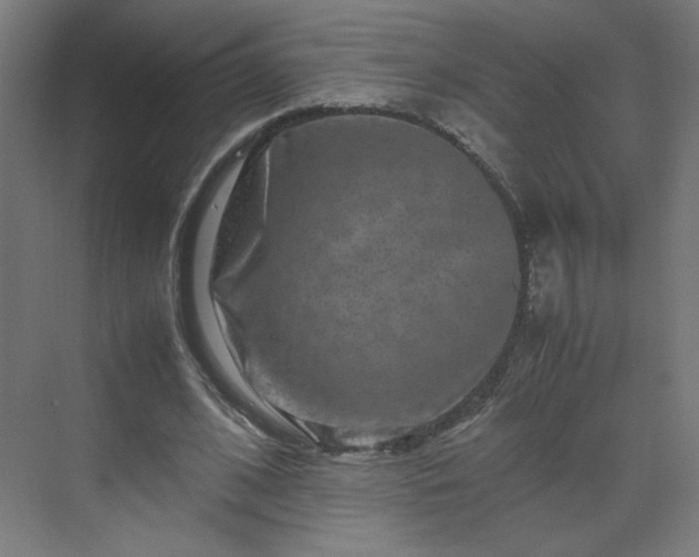 X0000070210584200606021257