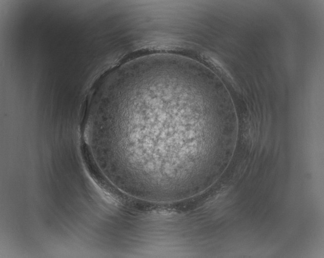 X0000070210586200606021257