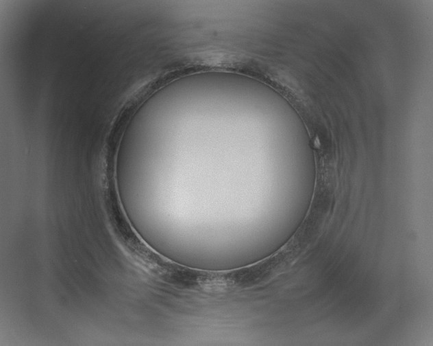 X0000070210587200606021257