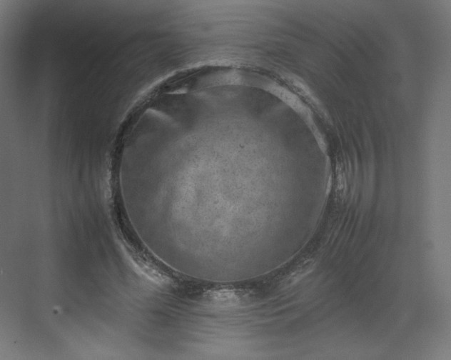 X0000070210588200606021257