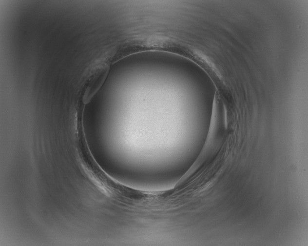 X0000070210589200606021257