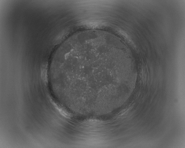 X0000070210590200606021257