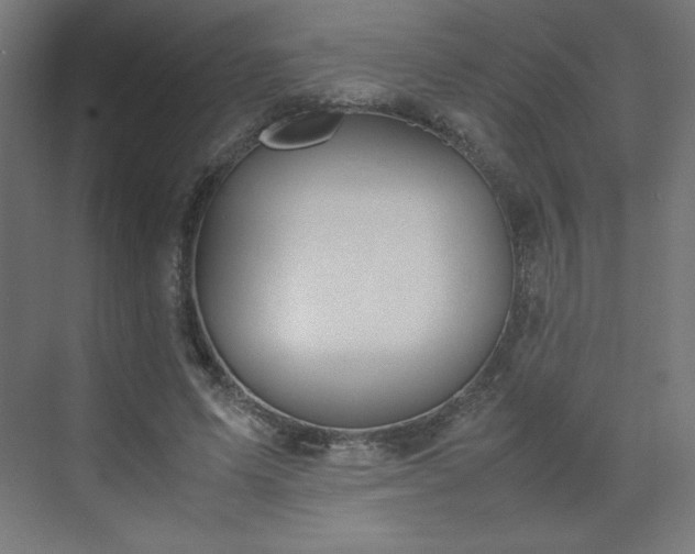 X0000070210591200606021257