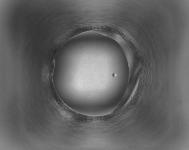 X0000070210593200606021257