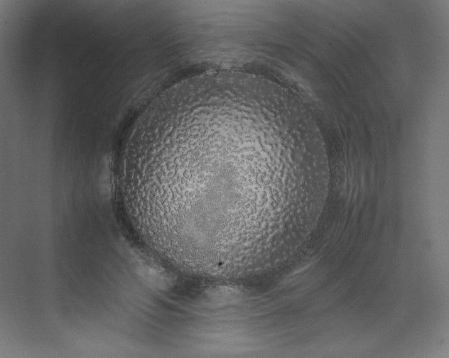 X0000070210594200606021257