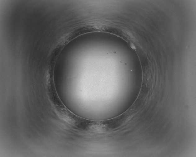 X0000070210595200606021257