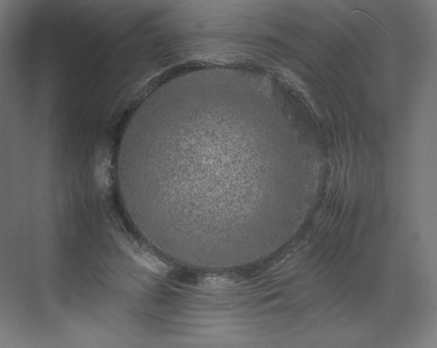 X0000070210596200606021257