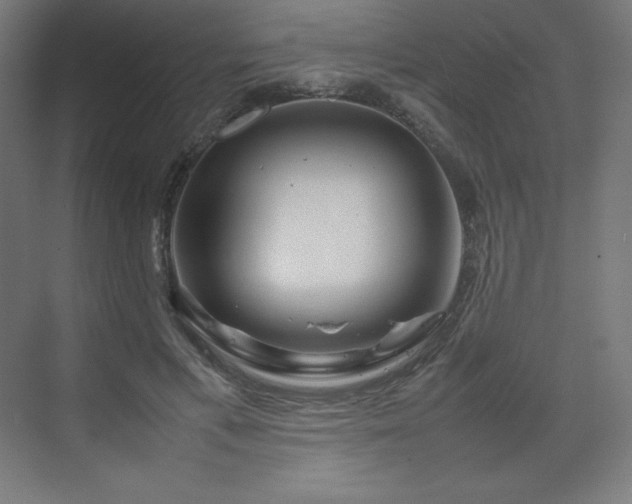 X0000070210597200606021257