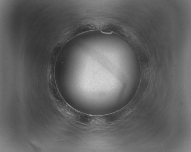 X0000070210599200606021257