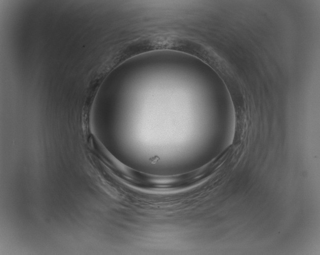 X0000070210601200606021257