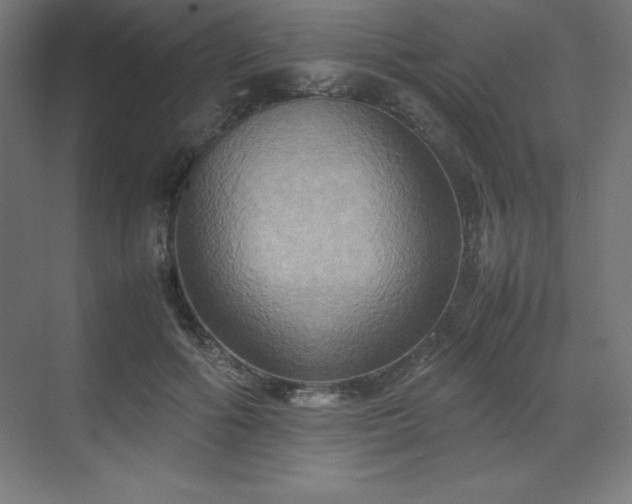 X0000070210602200606021257