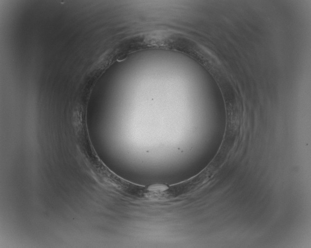 X0000070210603200606021257