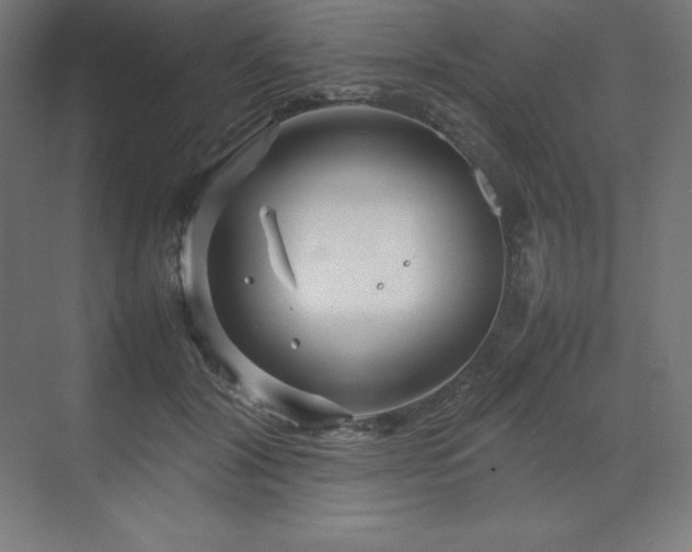 X0000070210604200606021257