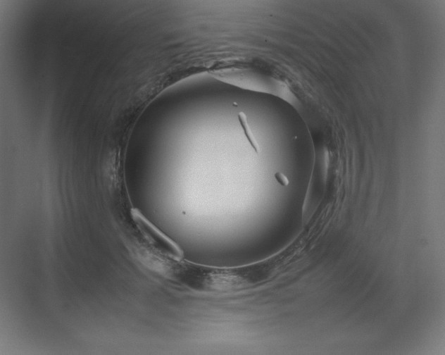 X0000070210605200606021257