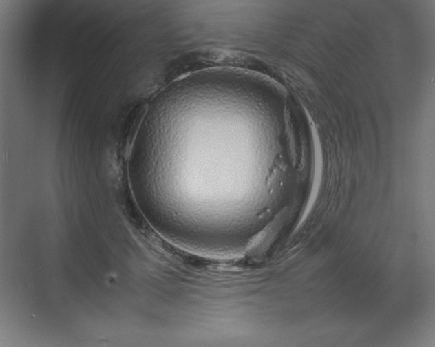 X0000070210607200606021257