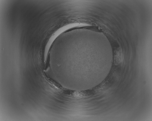 X0000070210608200606021257