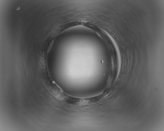 X0000070210609200606021257